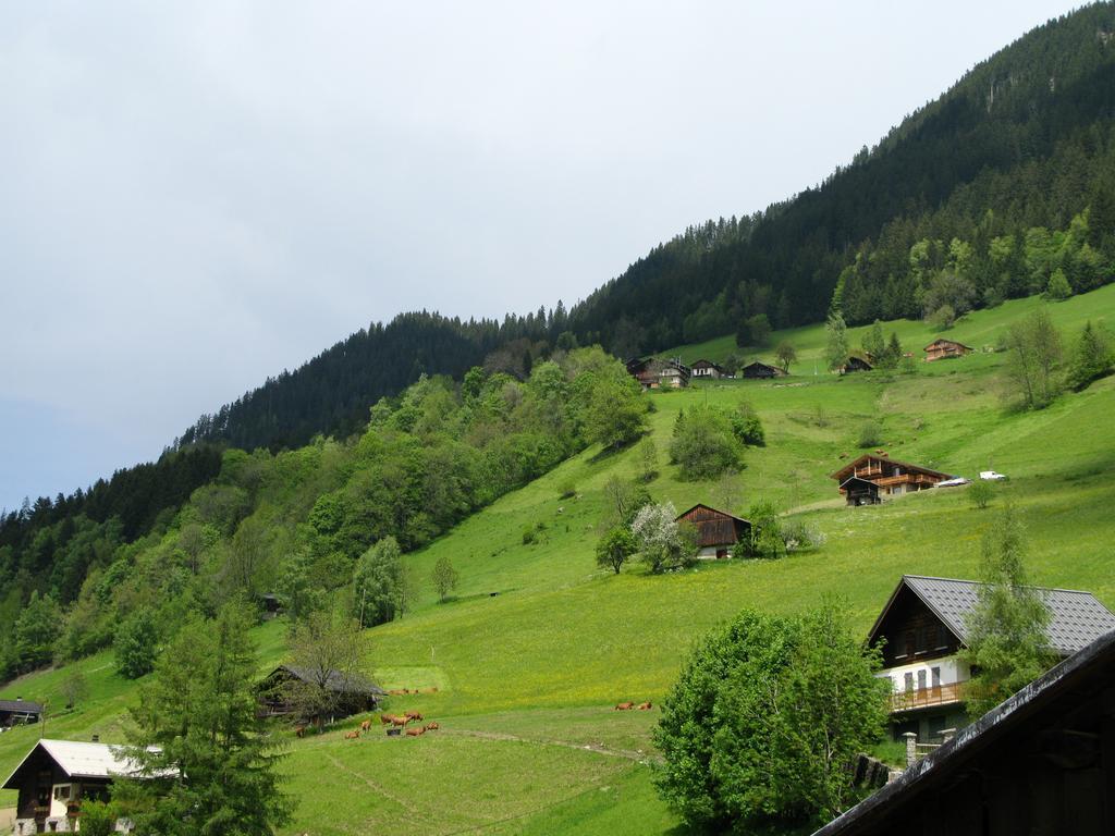 Hotel Viallet Areches Luaran gambar