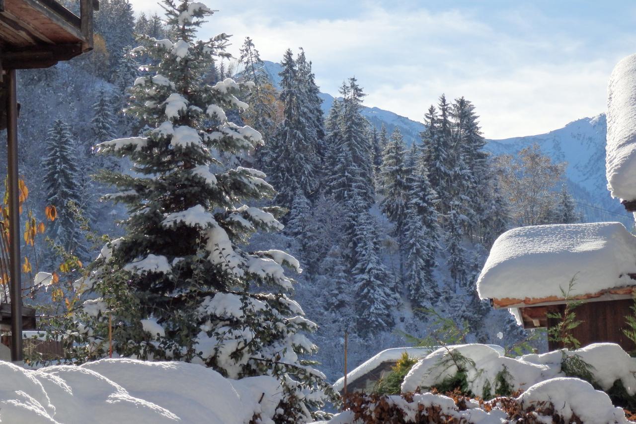 Hotel Viallet Areches Luaran gambar